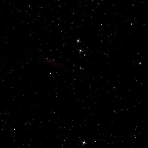 白丝裸体美女被坏人挠b
