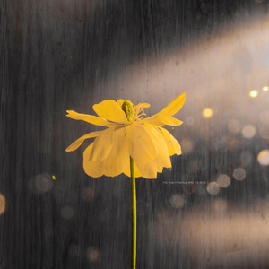 白丝裸体美女被坏人挠b
